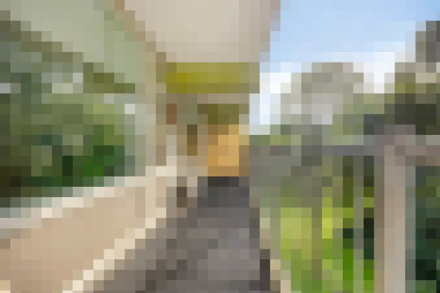 Westervenne 222 Purmerend thumbnail 19