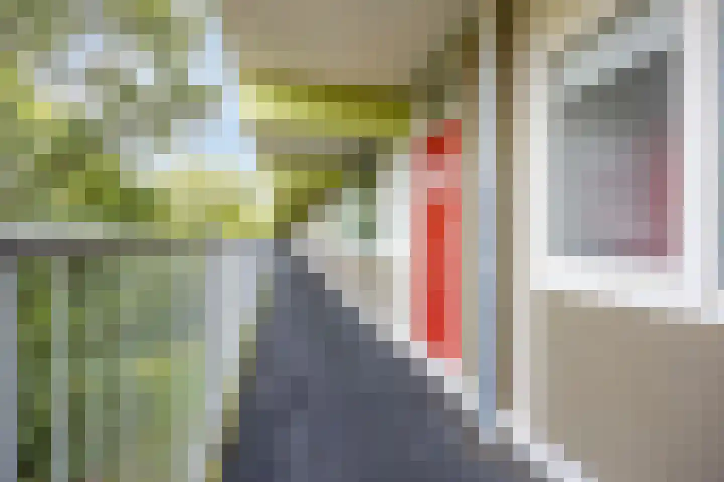 Westervenne 222 Purmerend thumbnail 20