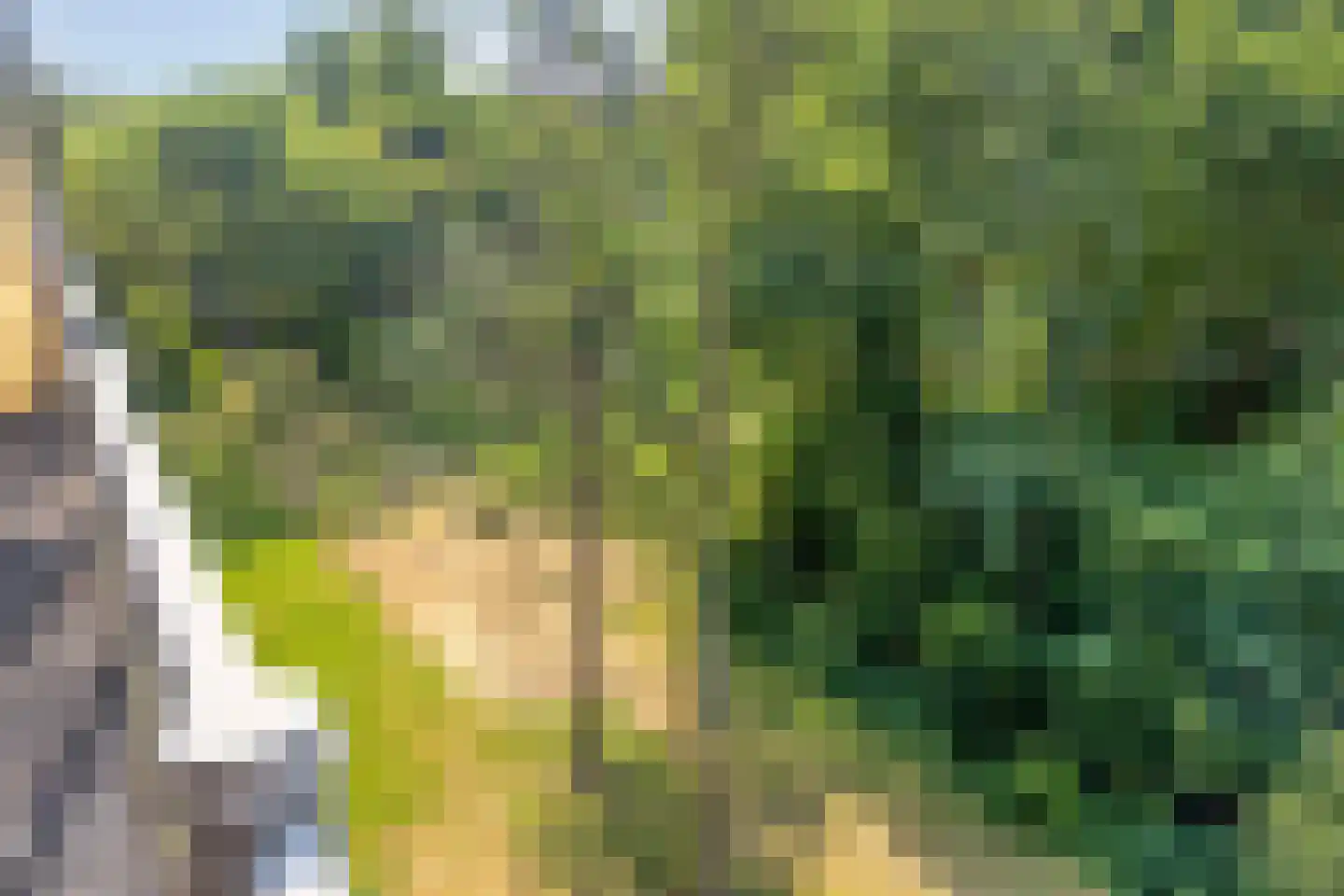 Westervenne 223 Purmerend thumbnail 27