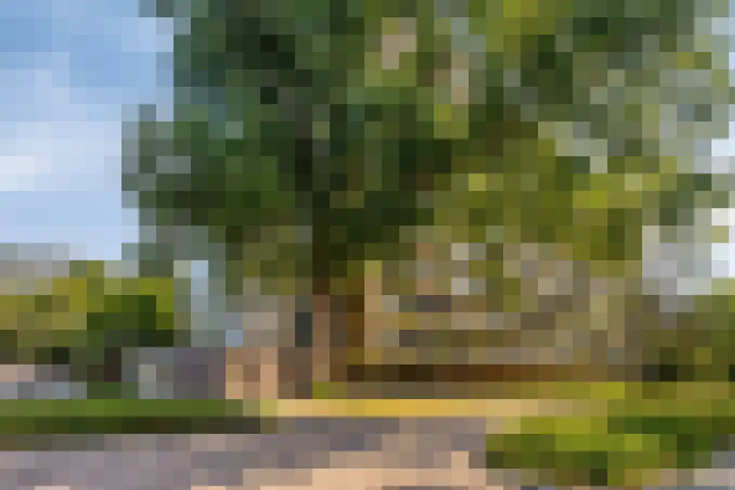 Westervenne 223 Purmerend thumbnail 28