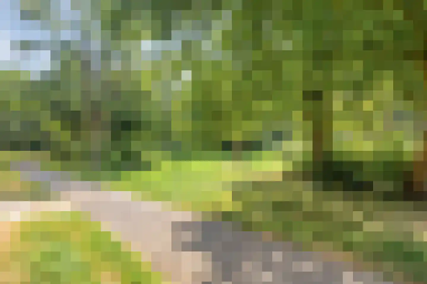 Westervenne 223 Purmerend thumbnail 31