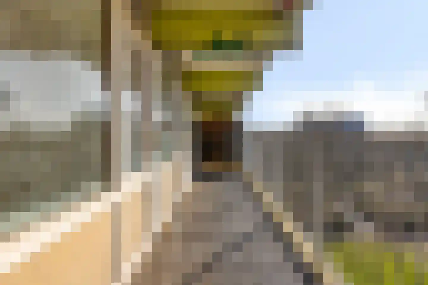 Westervenne 232 Purmerend thumbnail 23