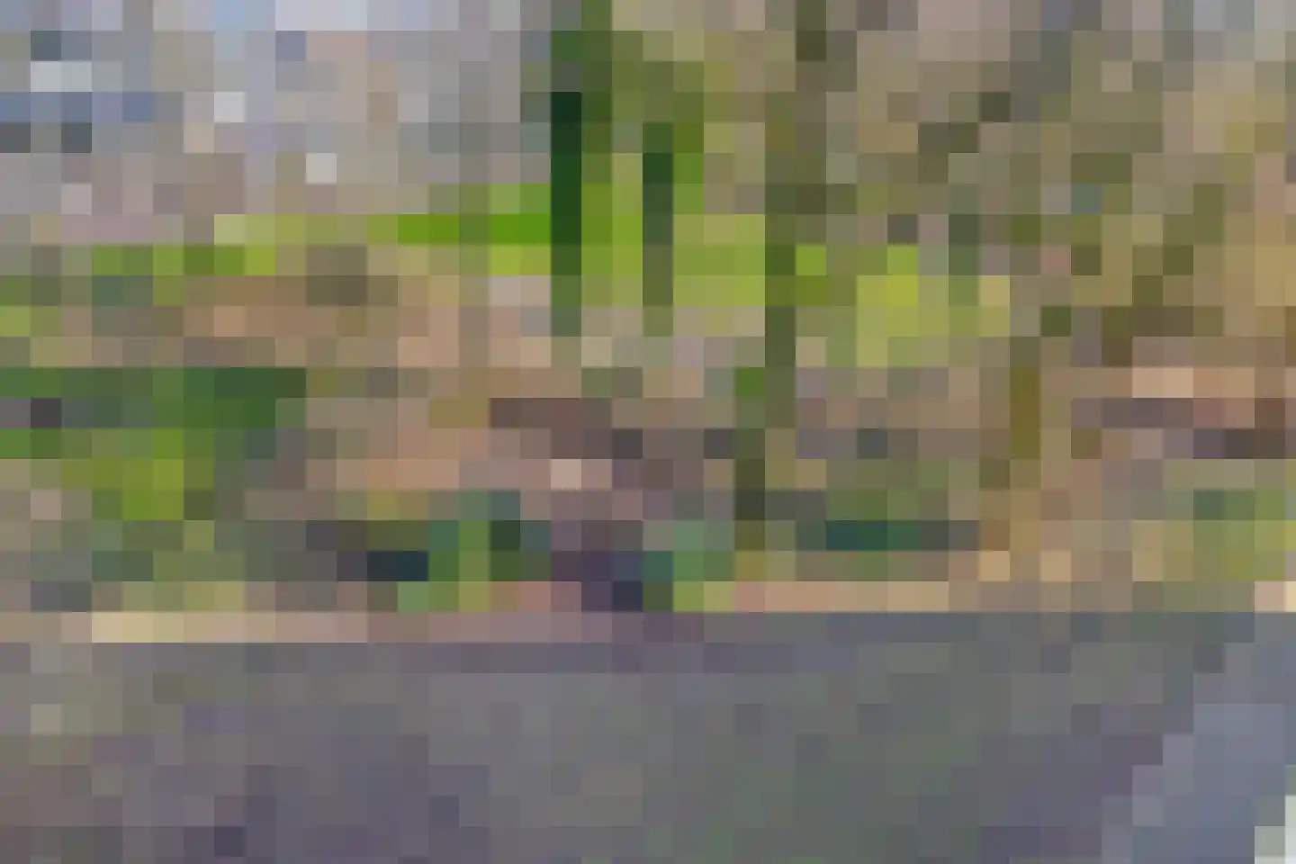Westervenne 232 Purmerend thumbnail 26
