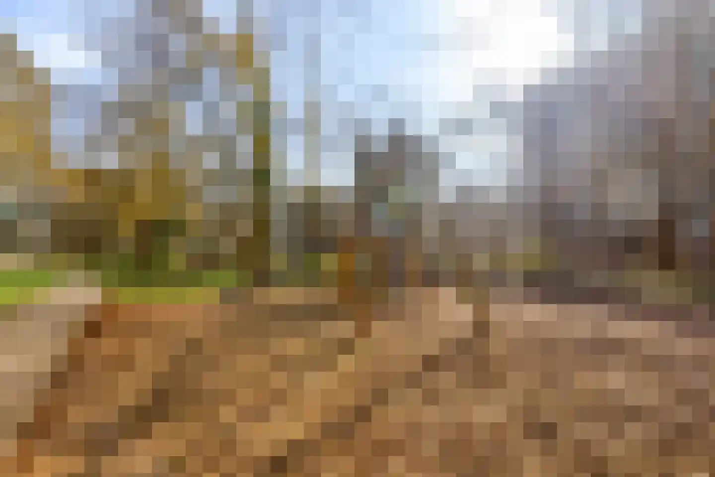 Westervenne 232 Purmerend thumbnail 27