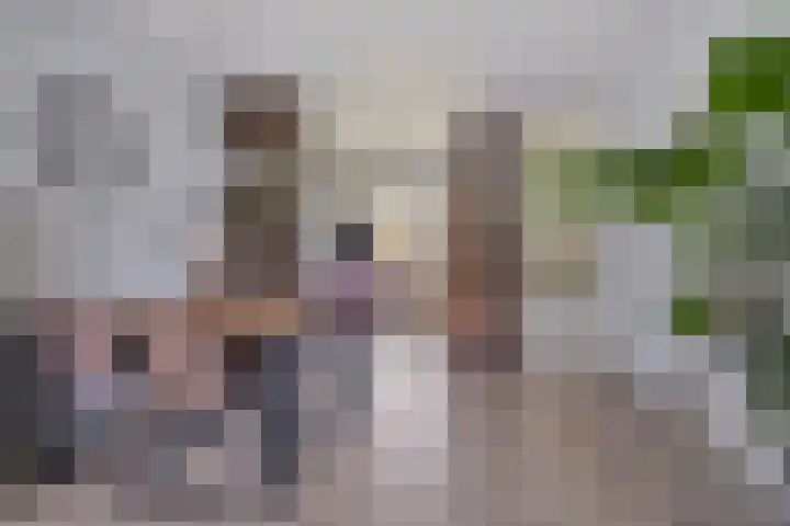 Westervenne 233 Purmerend thumbnail 18