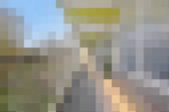 Westervenne 233 Purmerend thumbnail 31