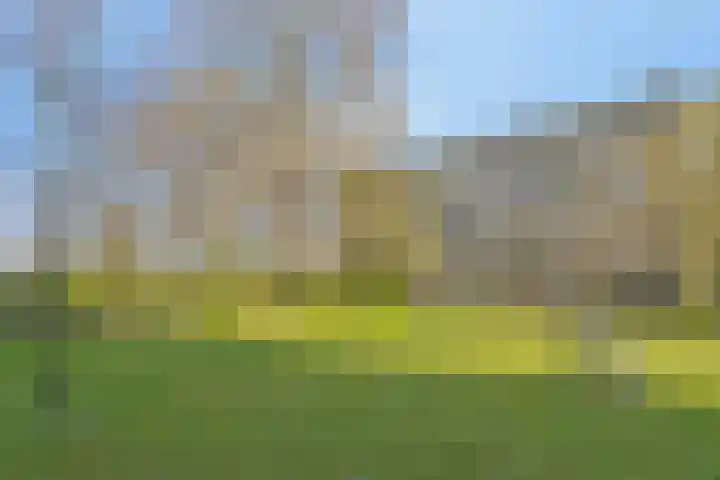 Westervenne 233 Purmerend thumbnail 34