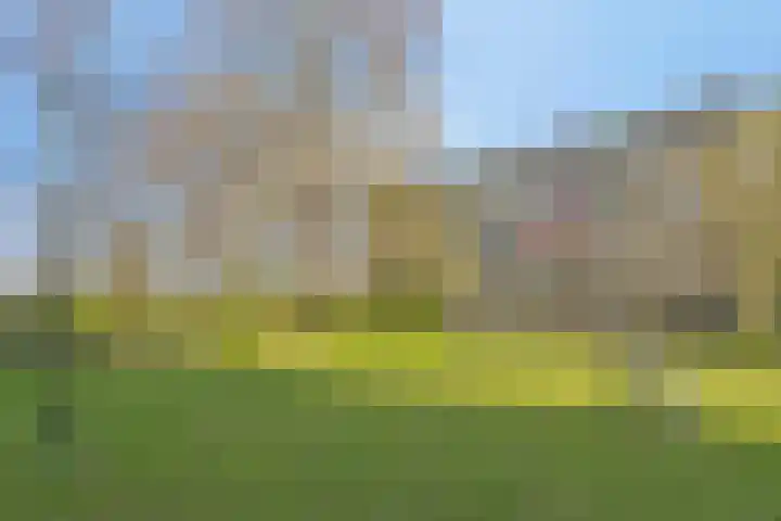 Westervenne 233 Purmerend thumbnail 35