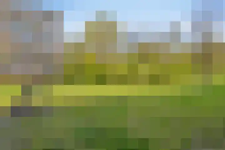 Westervenne 233 Purmerend thumbnail 36