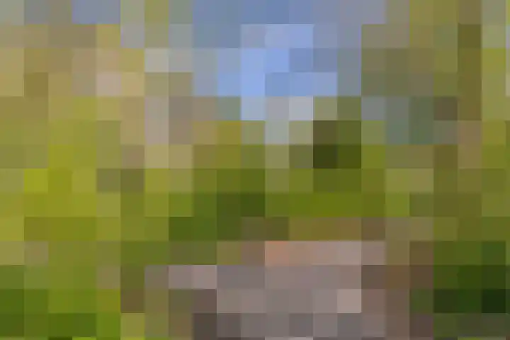 Westervenne 233 Purmerend thumbnail 37