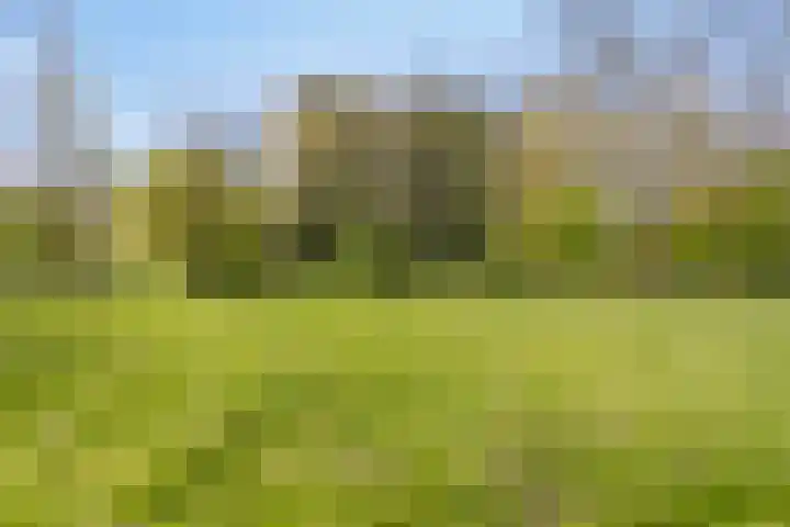 Westervenne 233 Purmerend thumbnail 38