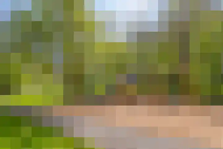Westervenne 233 Purmerend thumbnail 39