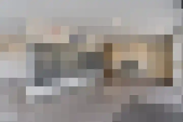 Westervenne 233 Purmerend thumbnail 8