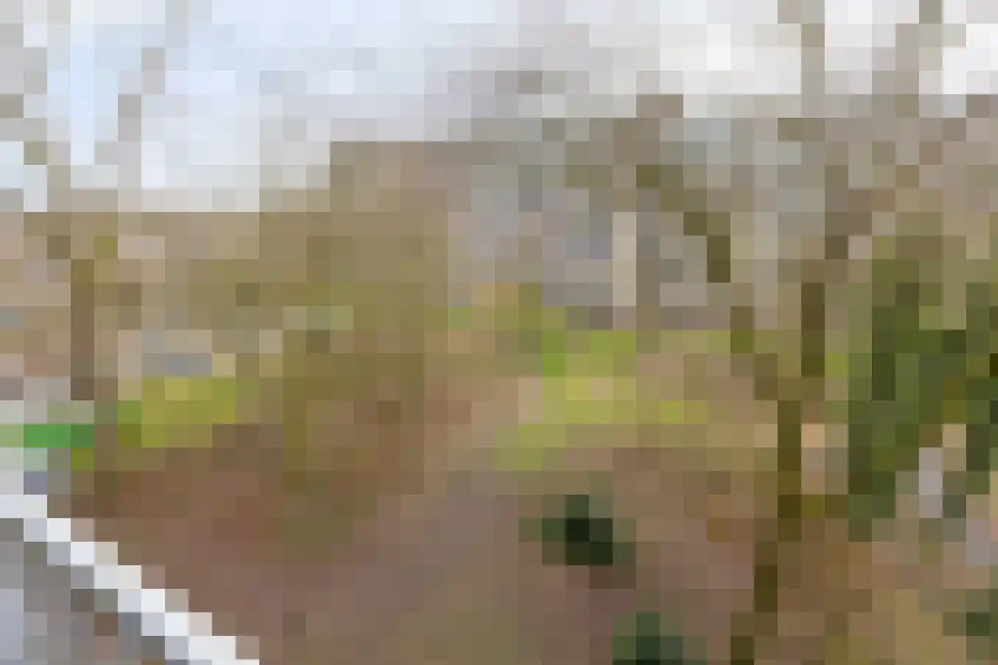 Westervenne 234 Purmerend thumbnail 10