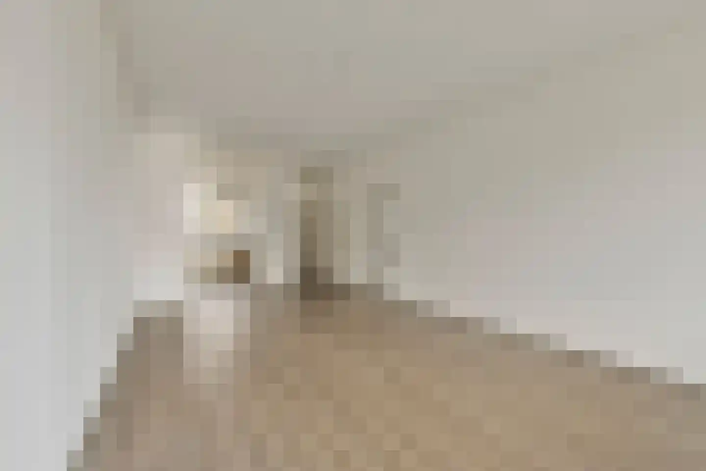 Westervenne 234 Purmerend thumbnail 15