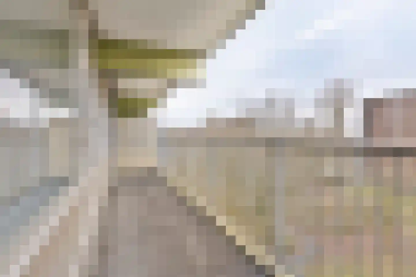 Westervenne 234 Purmerend thumbnail 30