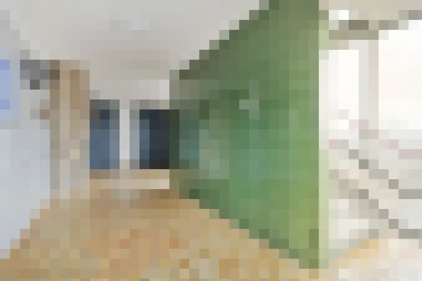 Westervenne 234 Purmerend thumbnail 9