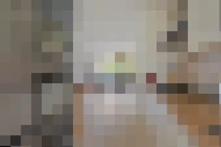 Westervenne 237 Purmerend thumbnail 15