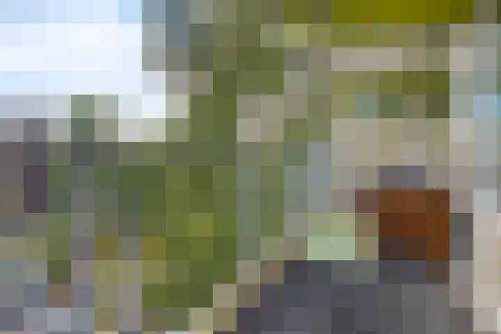 Westervenne 237 Purmerend thumbnail 26