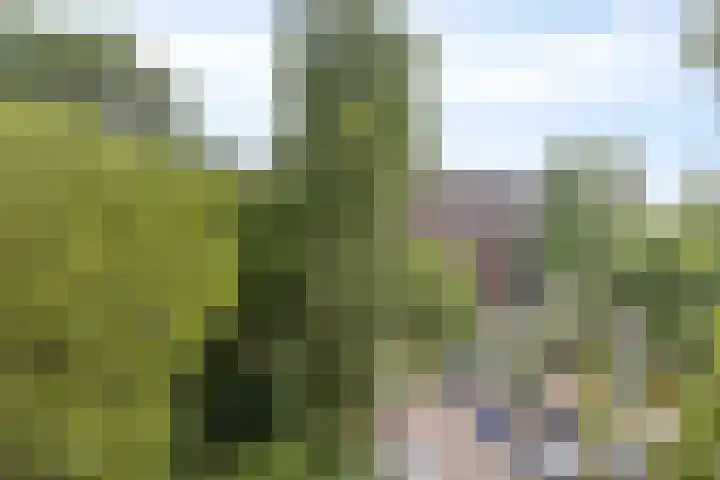 Westervenne 237 Purmerend thumbnail 27