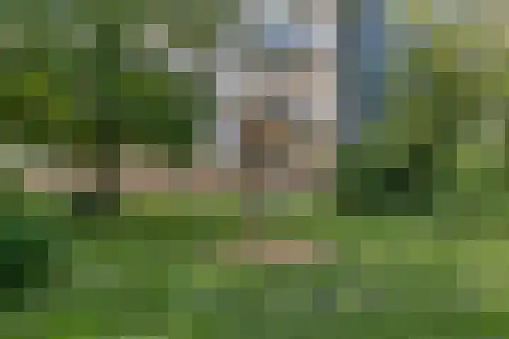 Westervenne 237 Purmerend thumbnail 29