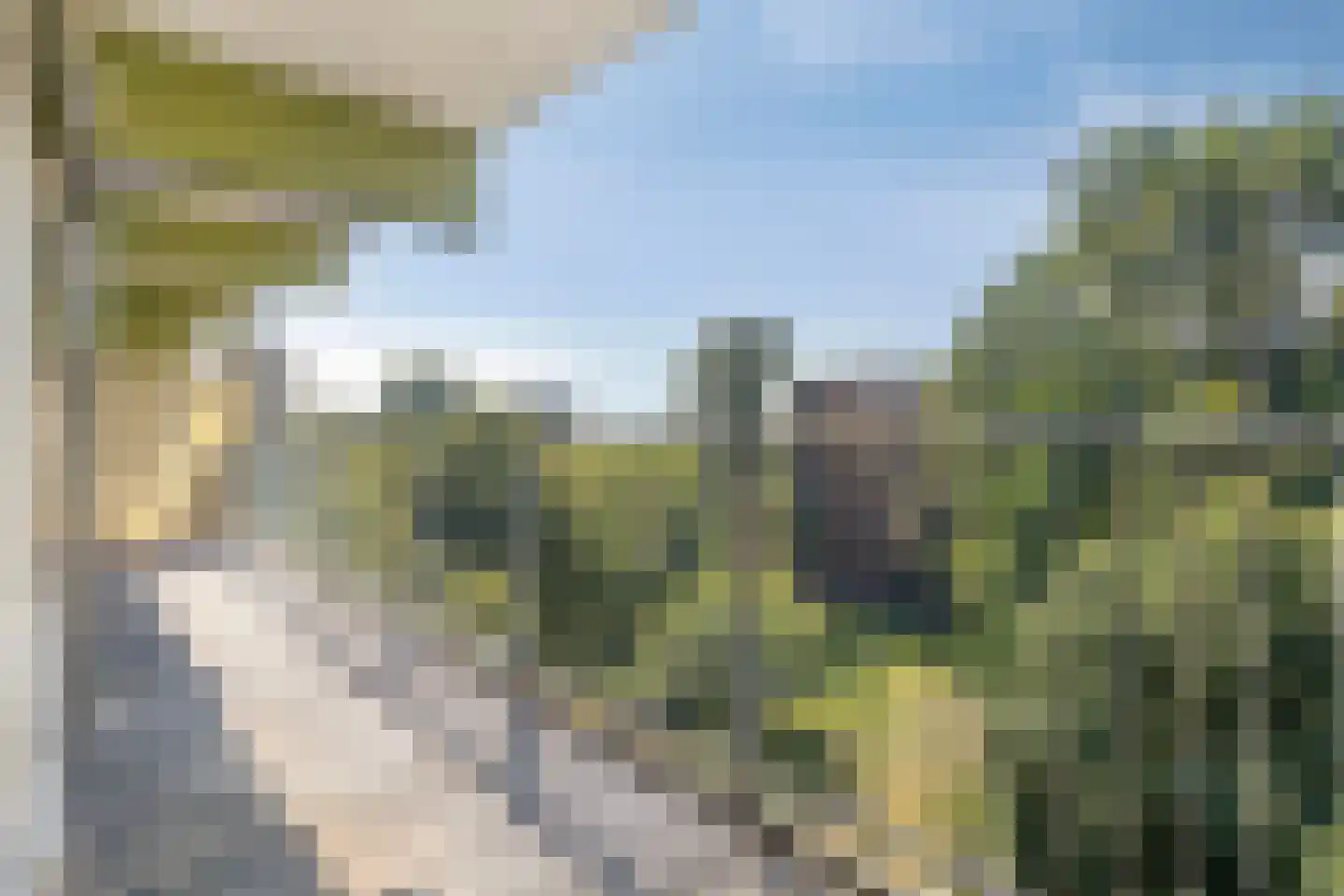 Westervenne 246 Purmerend thumbnail 35