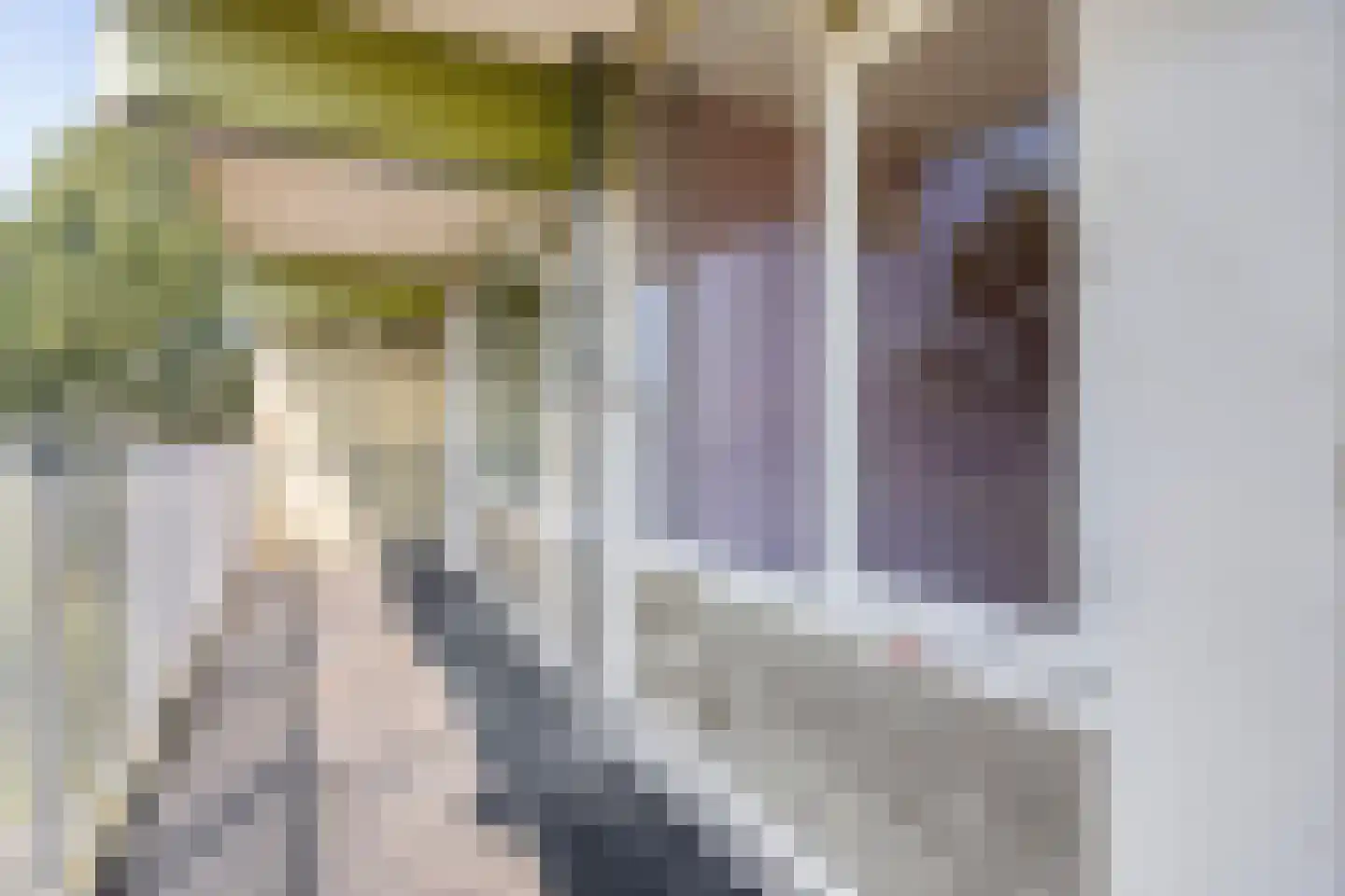 Westervenne 246 Purmerend thumbnail 36