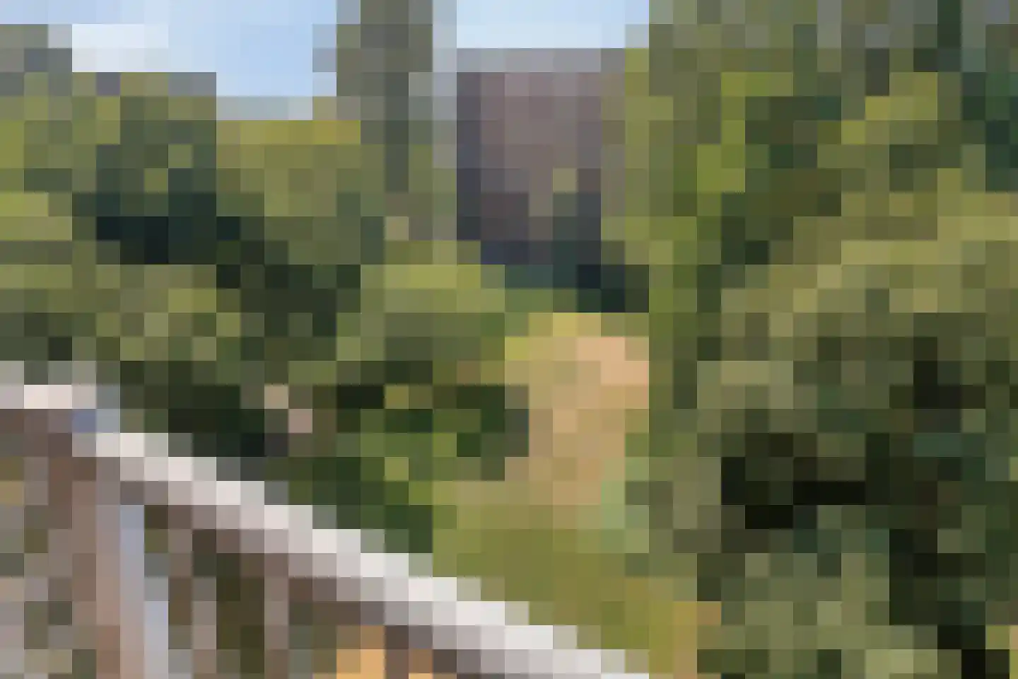 Westervenne 246 Purmerend thumbnail 37