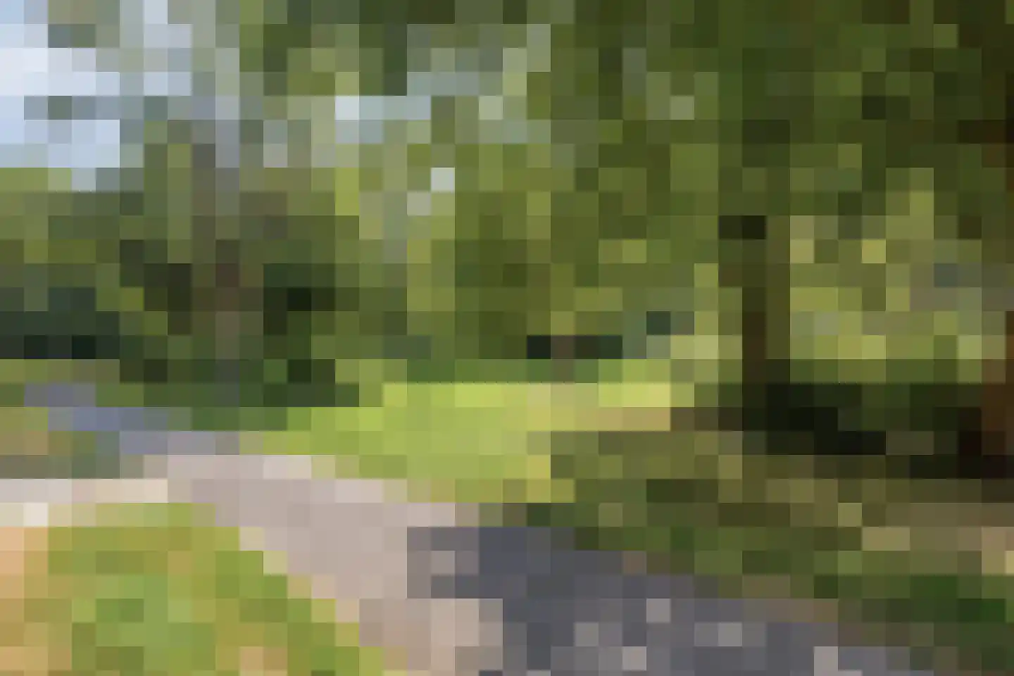 Westervenne 246 Purmerend thumbnail 39
