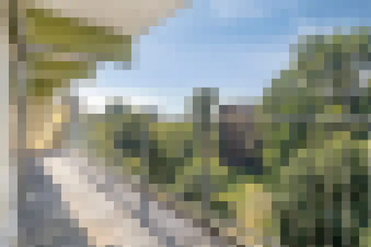 Westervenne 246 Purmerend thumbnail 6