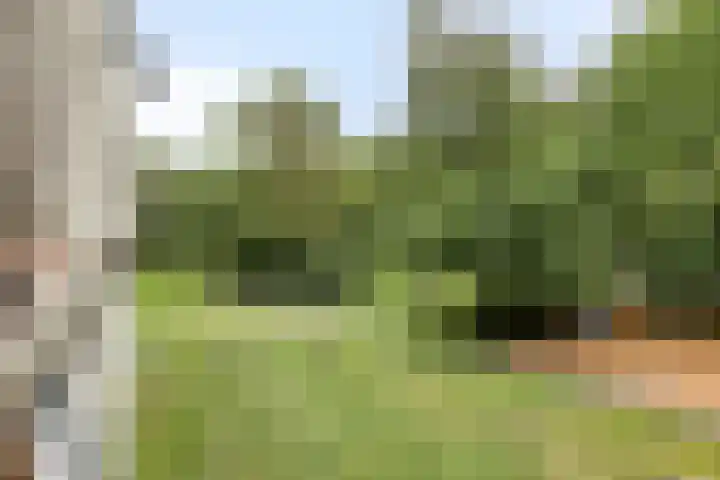Westervenne 306 Purmerend thumbnail 31