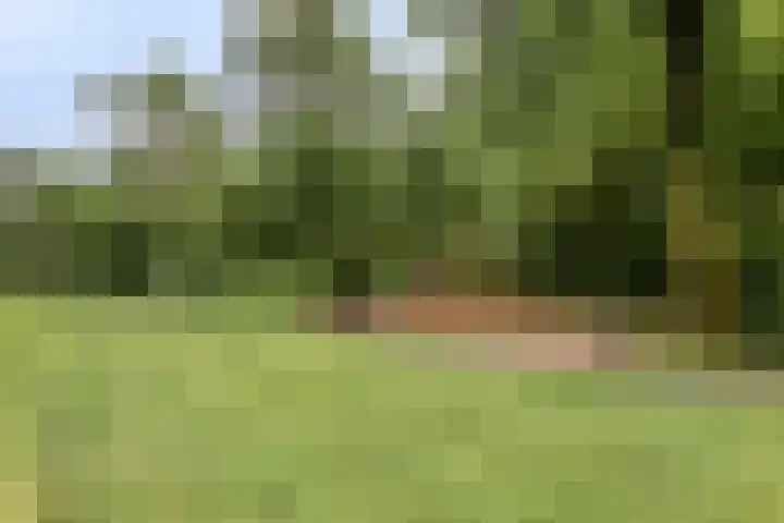 Westervenne 306 Purmerend thumbnail 34