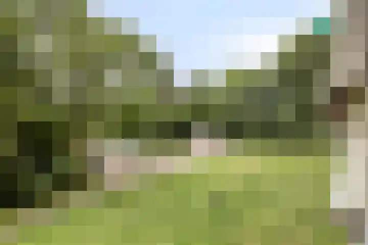 Westervenne 306 Purmerend thumbnail 5