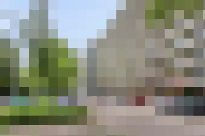 Westervenne 306 Purmerend thumbnail 6