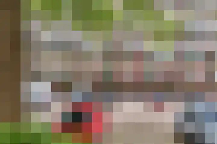 Westervenne 306 Purmerend thumbnail 8