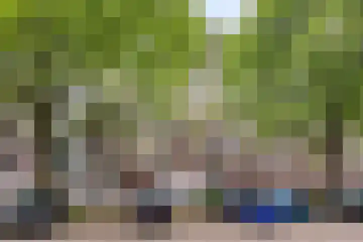 Westervenne 306 Purmerend thumbnail 9