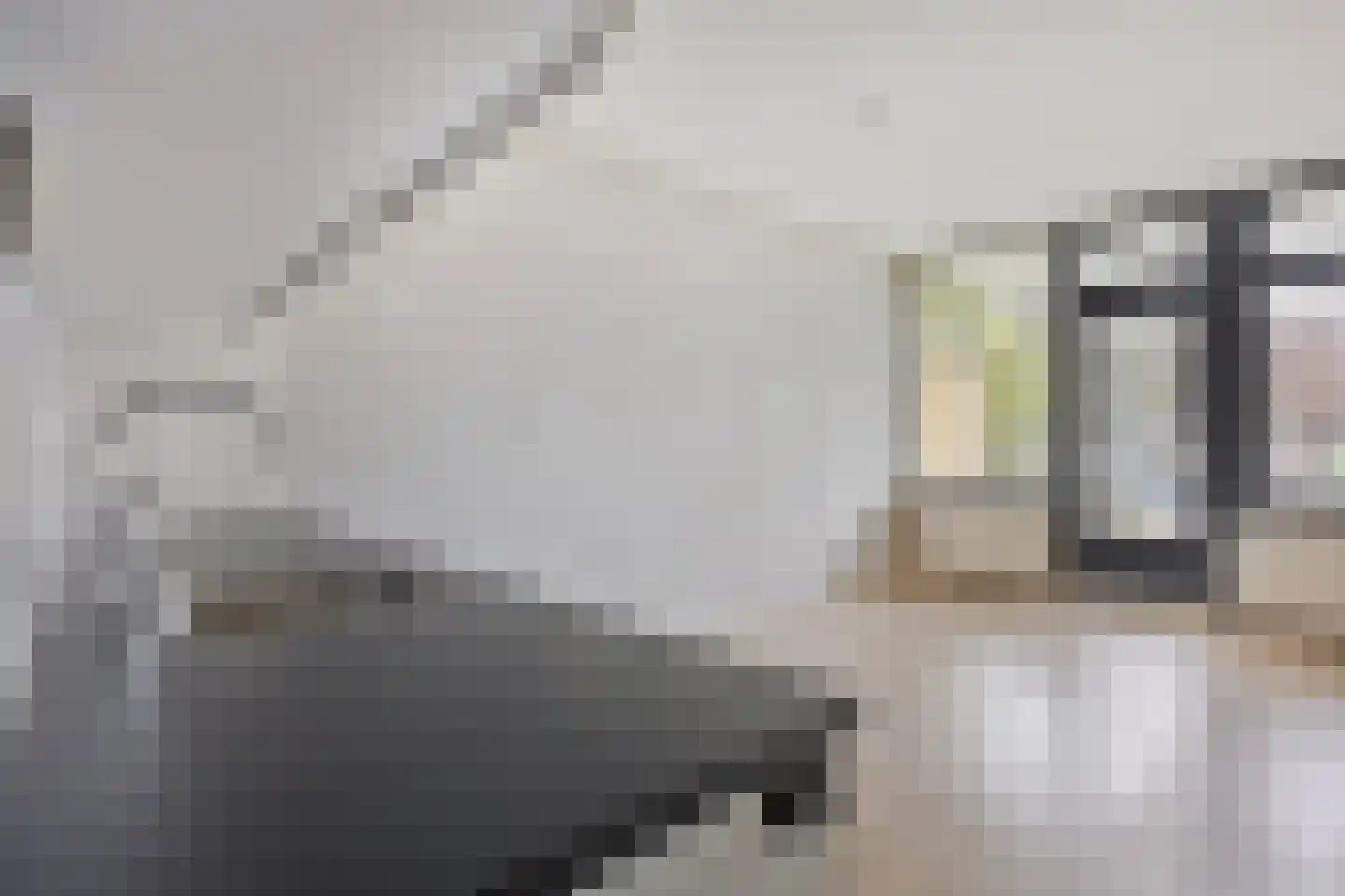 Westervenne 312 A Purmerend thumbnail 15