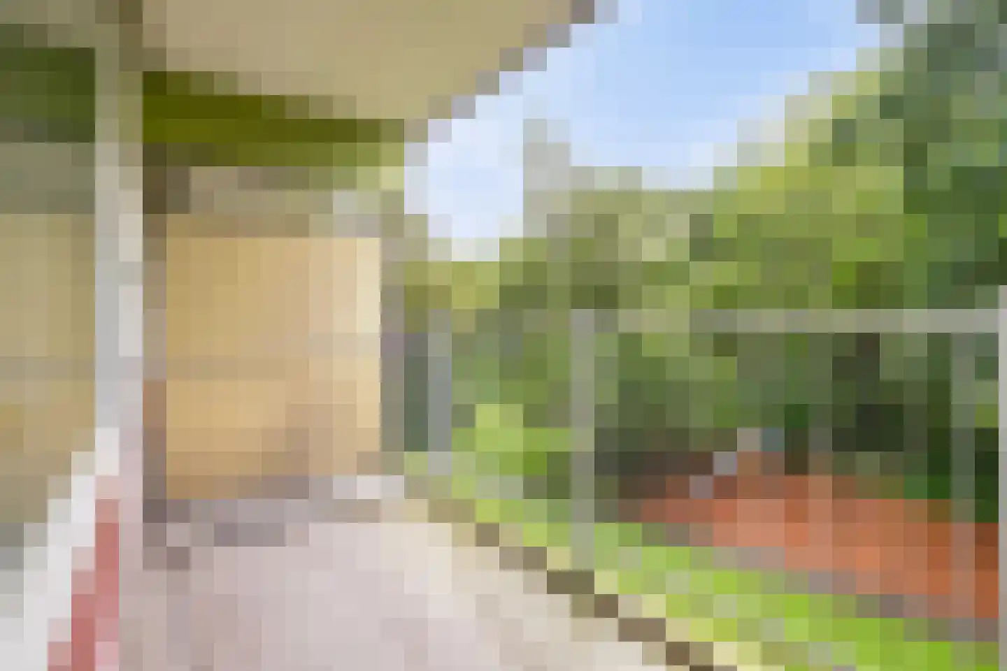 Westervenne 320 Purmerend thumbnail 19