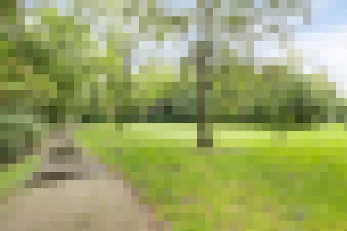 Westervenne 320 Purmerend thumbnail 21