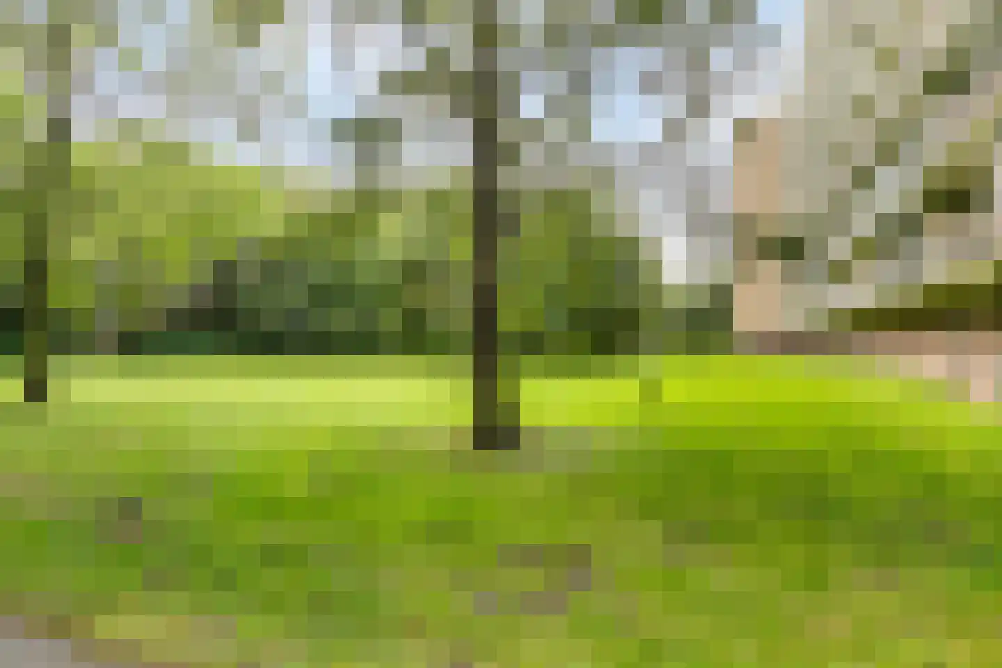 Westervenne 320 Purmerend thumbnail 22
