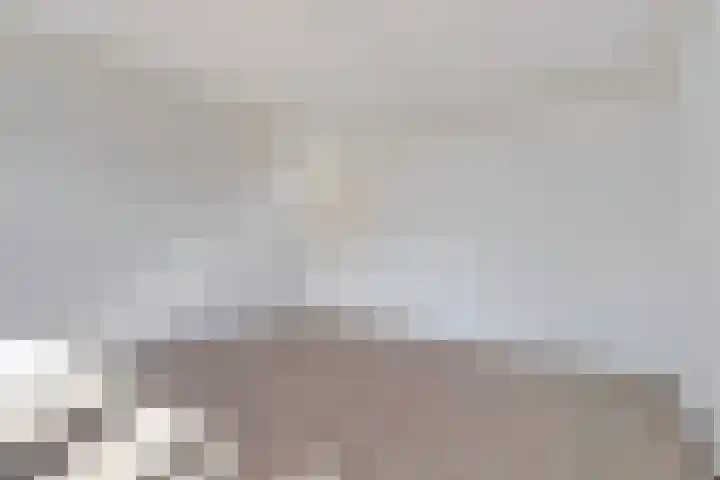 Westervenne 360 Purmerend thumbnail 13