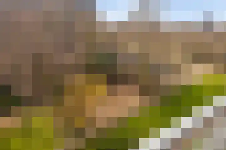 Westervenne 360 Purmerend thumbnail 19