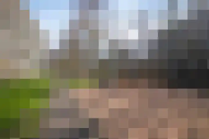 Westervenne 360 Purmerend thumbnail 21