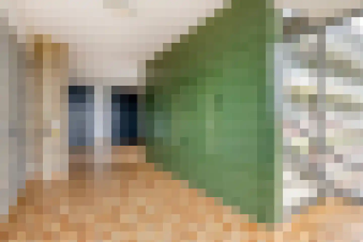 Westervenne 394 Purmerend thumbnail 12