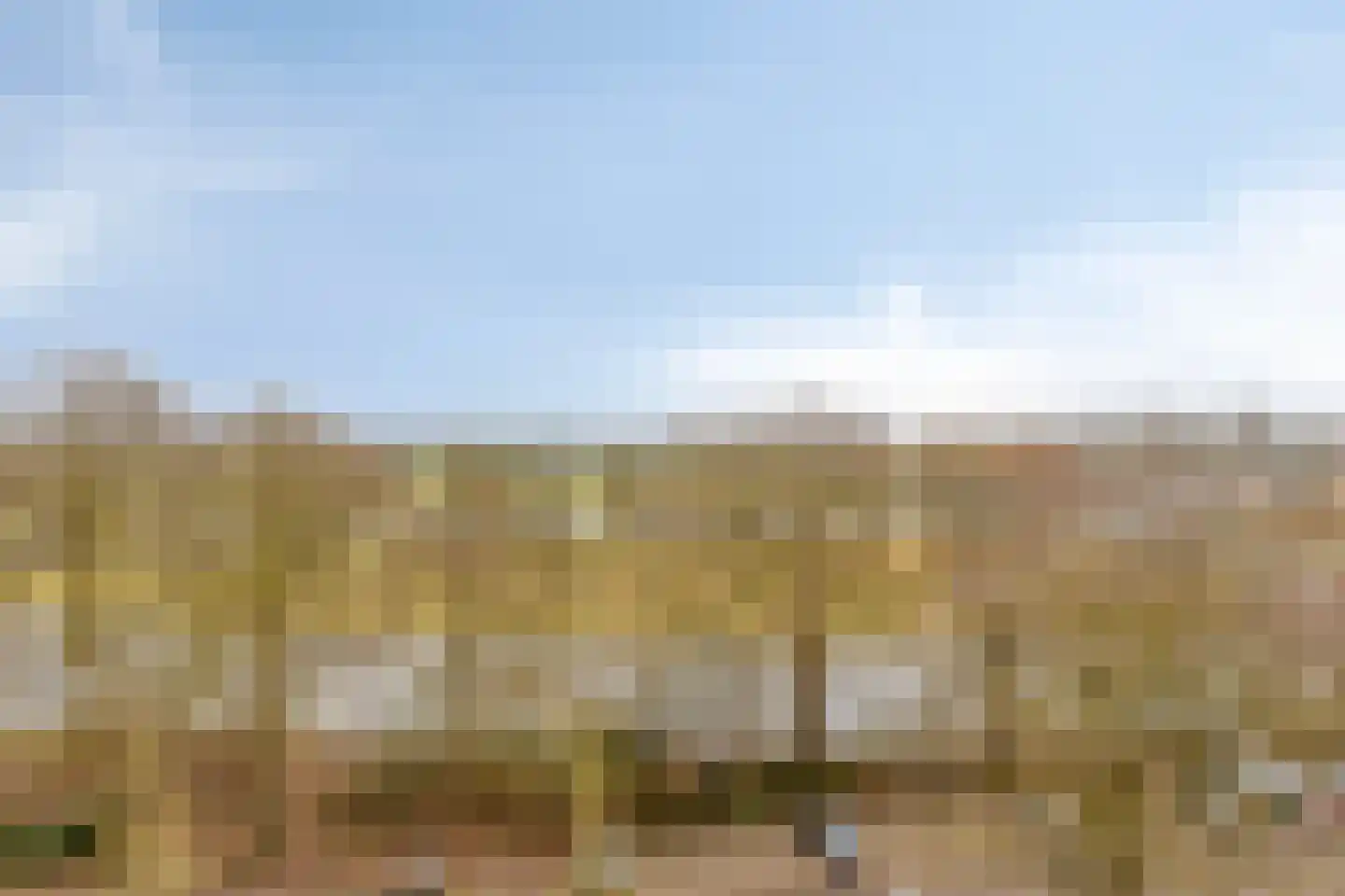 Westervenne 394 Purmerend thumbnail 13