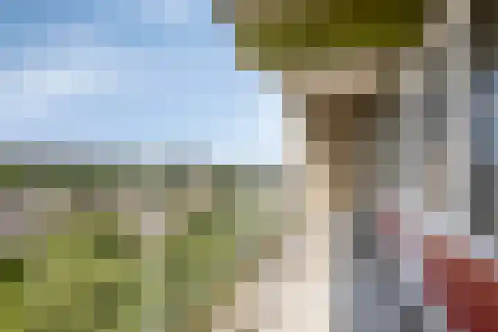 Westervenne 398 Purmerend thumbnail 41