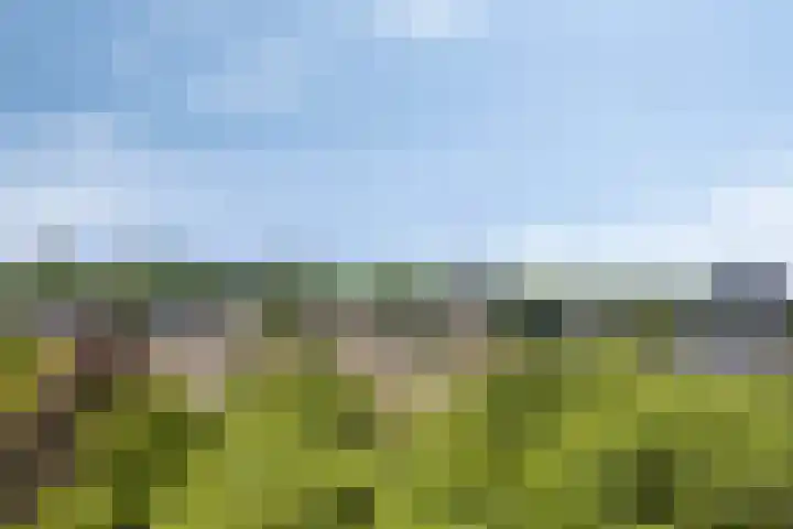 Westervenne 398 Purmerend thumbnail 45