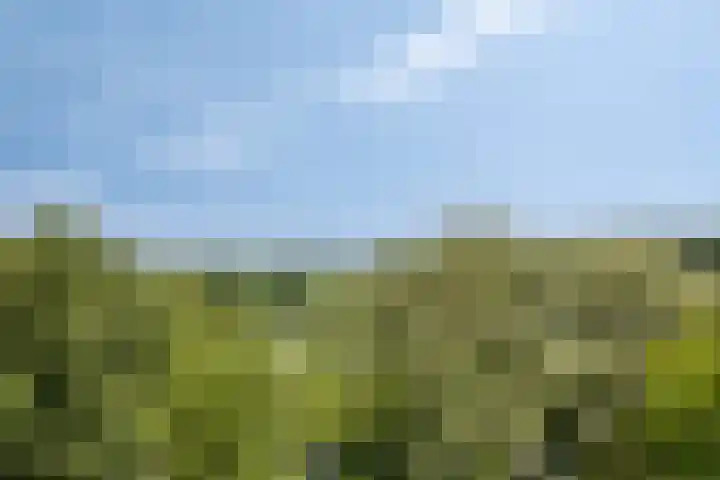 Westervenne 398 Purmerend thumbnail 46
