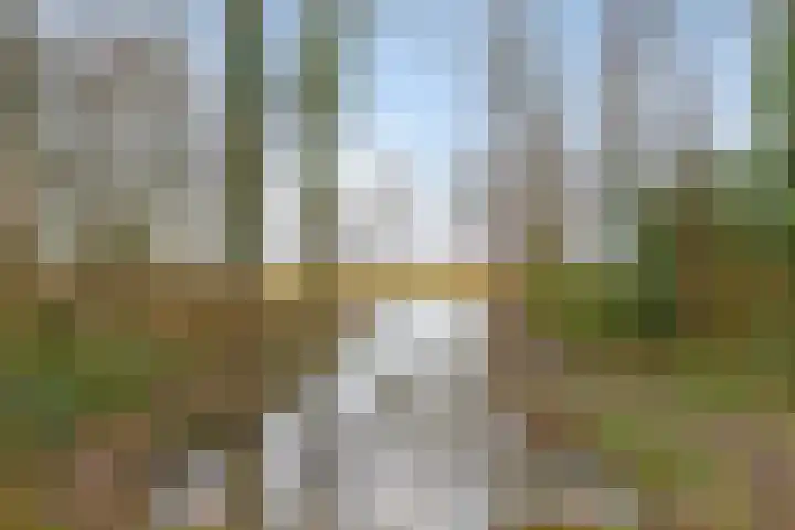 Westervenne 398 Purmerend thumbnail 49