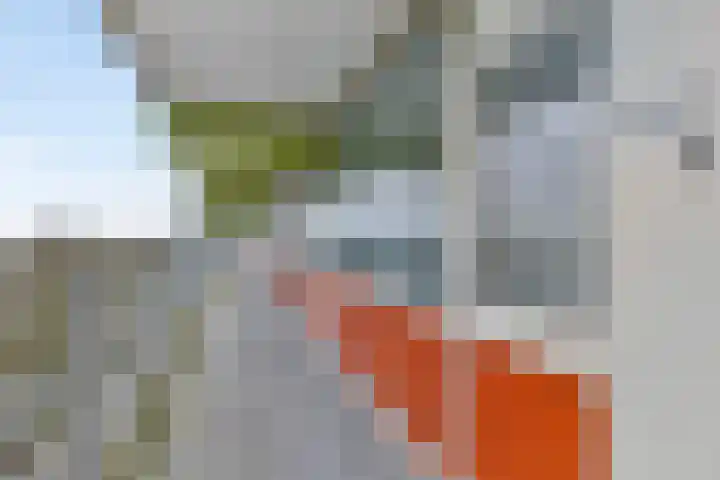 Westervenne 398 Purmerend thumbnail 9